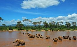 Aberdares - Samburu National Reserve