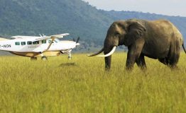 Amboseli-flying-safari