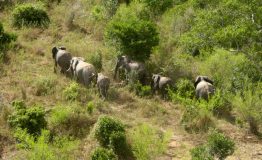 Shimba-Hills-National-Reserve-1