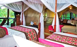 samburu-intrepids-room-family-tent1